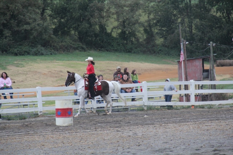 American Paint Horse Association PAC Program Application Washington